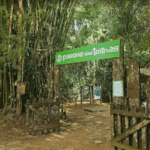 parque das trilhas em guaramiranga